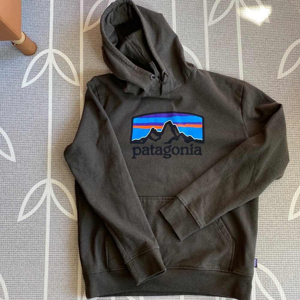 Men’s Patagonia Hoodie